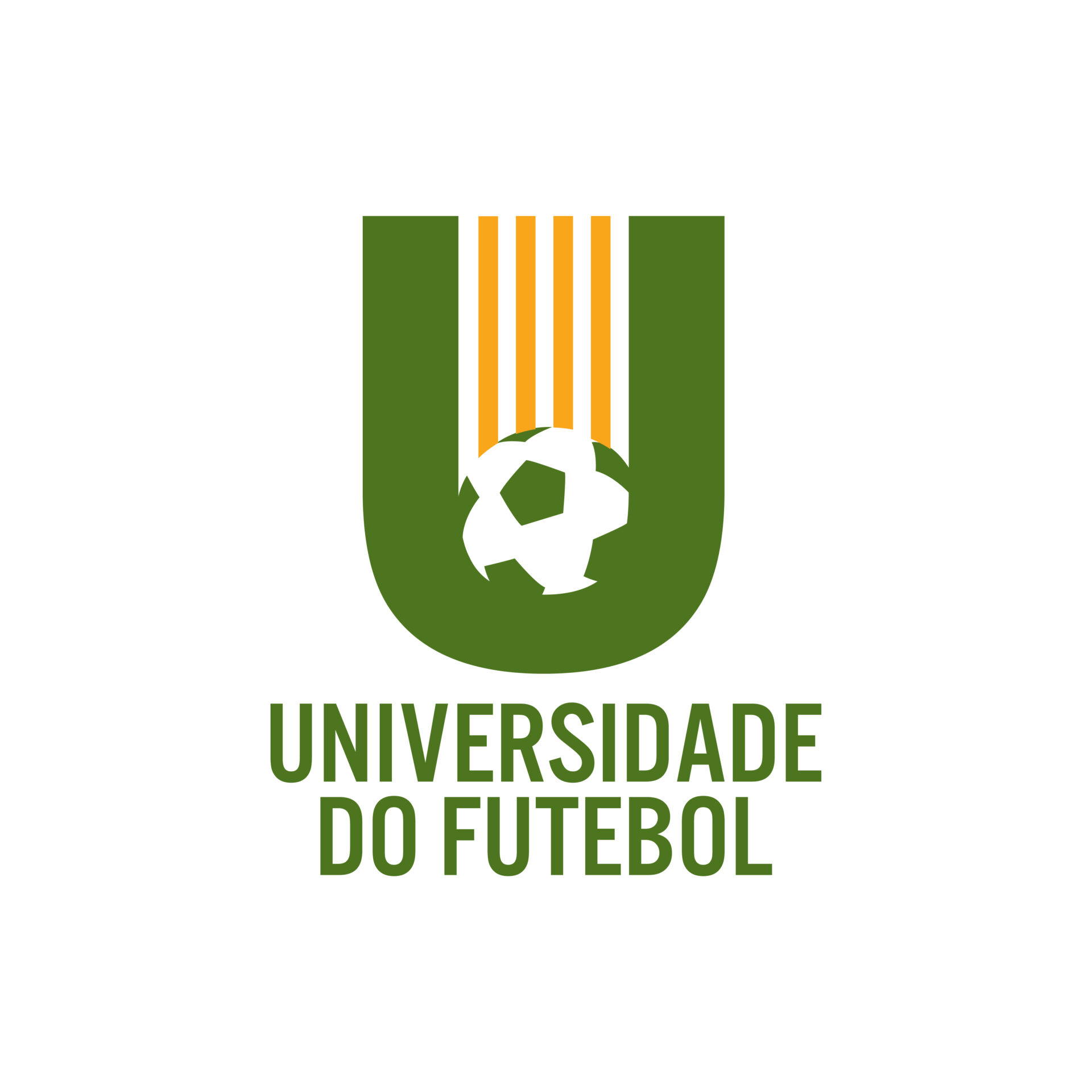 (c) Universidadedofutebol.com.br